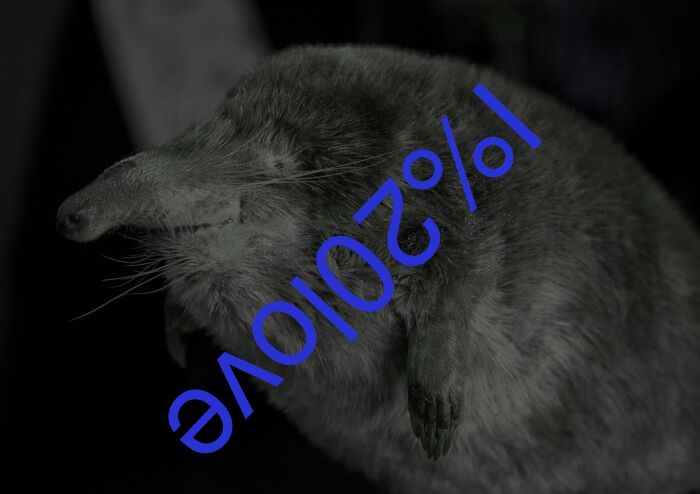 I love